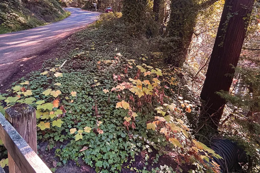 00 Riverside Road, Brookdale, CA 95007 - #3