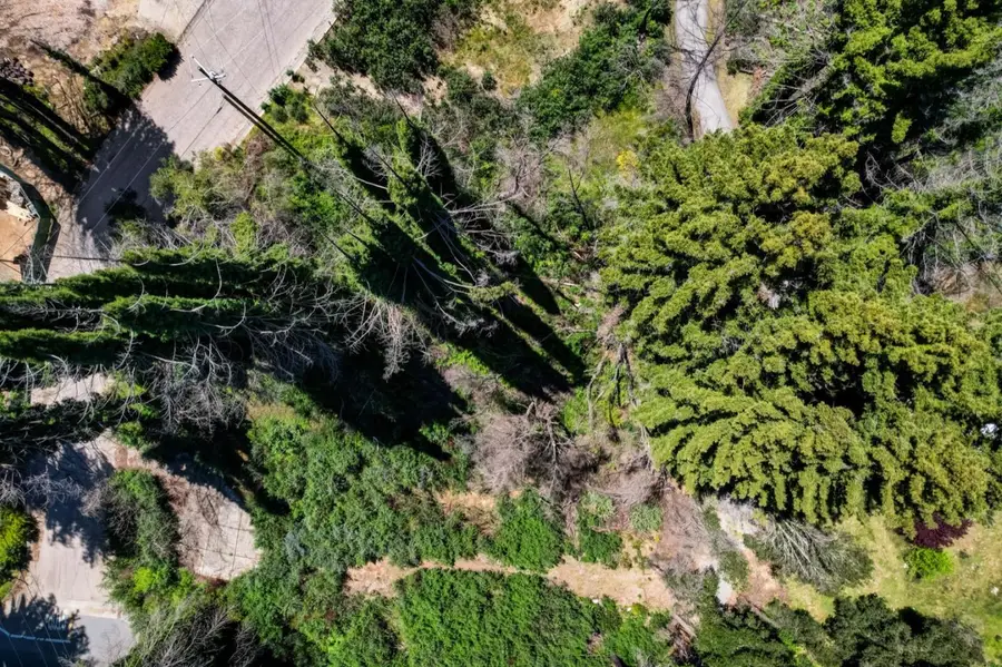 0 Fallen Leaf Drive, Boulder Creek, CA 95006 - #3