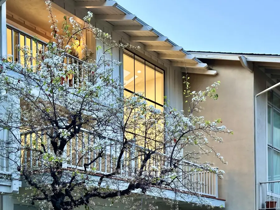 14648 Placida Court, Saratoga, CA 95070 - Image #3