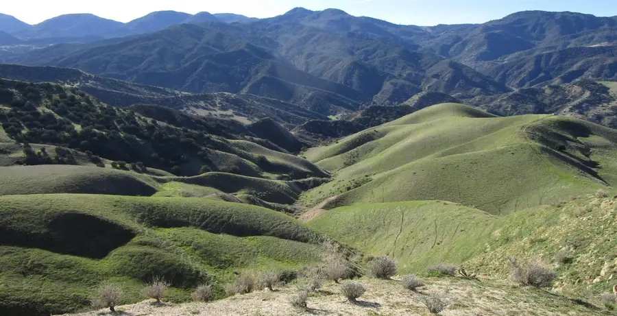 19825 New Idria Road, Paicines, CA 95043 - #2