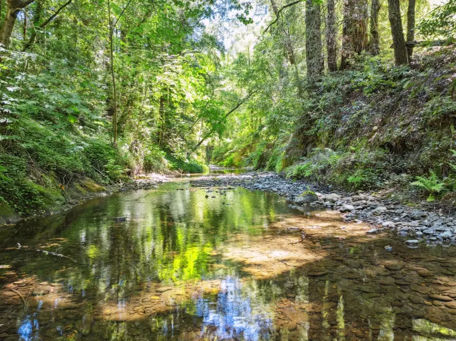 200 Shady Lane, Boulder Creek, CA 95006 - #2