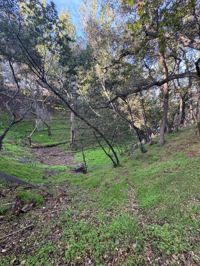 0 Parrott Drive, San Mateo, CA 94402 - #1