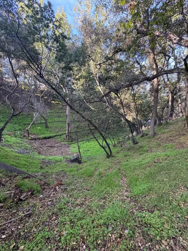 0 Parrott Drive, San Mateo, CA 94402