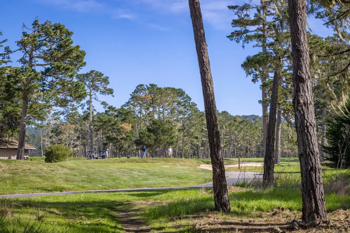1401 Viscaino Road, Pebble Beach, CA 93953 - #1