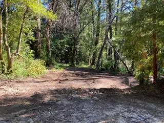 17000 Bear Creek Road, Boulder Creek, CA 95006 - #2