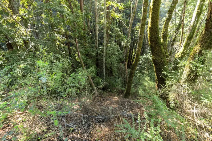 43 and 44 Buckeye Street, Felton, CA 95018 - Image #2