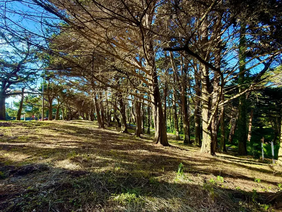 037022240 Carlos Street, Moss Beach, CA 94038 - #3