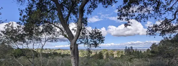 25564 Fernhill Drive, Los Altos Hills, CA 94024