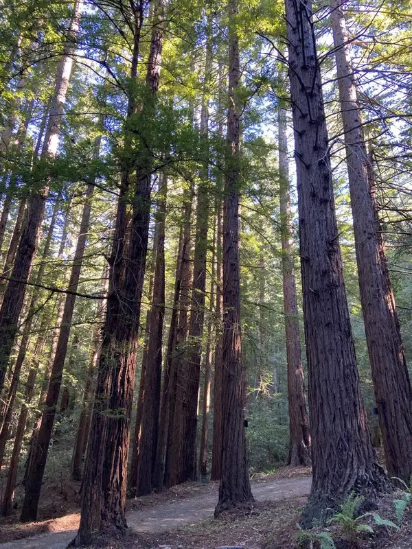 155 Native Sons Road, Woodside, CA 94062