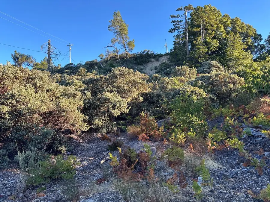 10001 West Drive, Felton, CA 95018 - #3