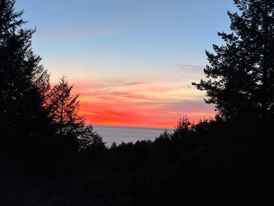 520 Redwood Road, Whitethorn, CA 95589 - #2