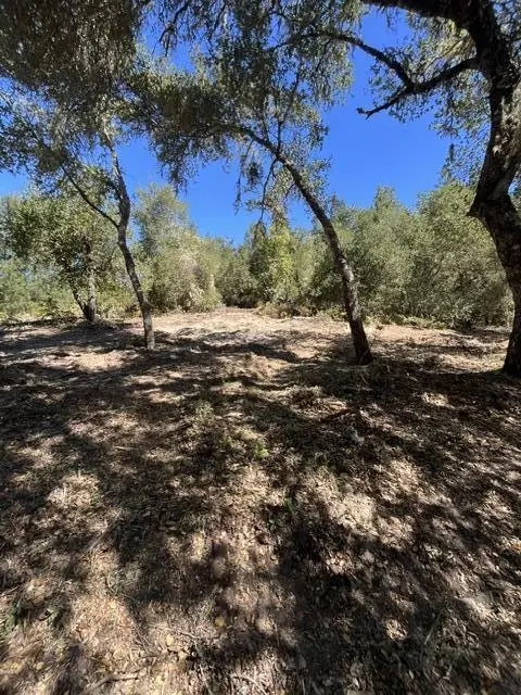 225 Santa Cruz Street, Boulder Creek, CA 95006 - #3