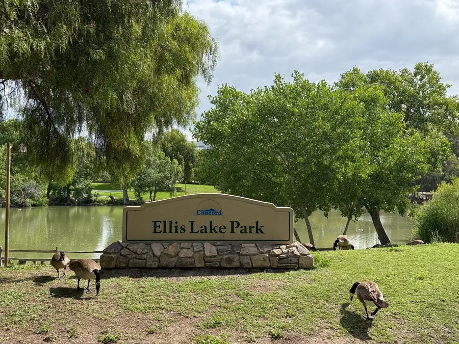 1731 Ellis Street #26, Concord, CA 94520 - #2