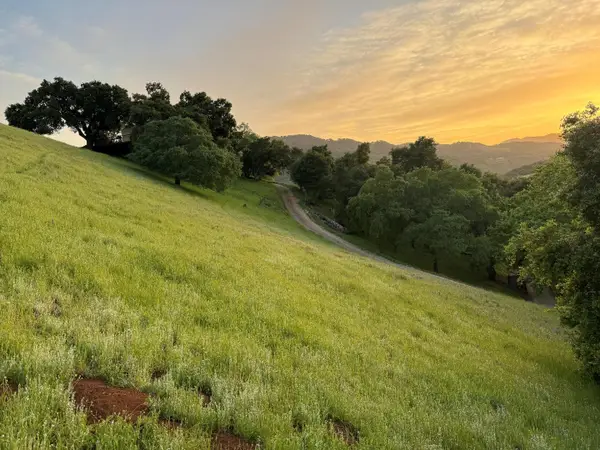 2328 Dahlberg Drive, Morgan Hill, CA 95037