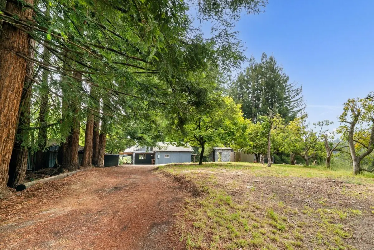 163 Buzzard Lagoon Road, Watsonville, CA 95076 - #1