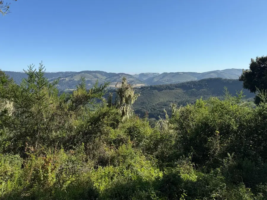 6 Rancho San Carlos (lot E10) Road, Carmel, CA 93923 - #2