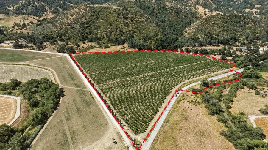 24.5 Acres Cienega Road, Hollister, CA 95023 - #3