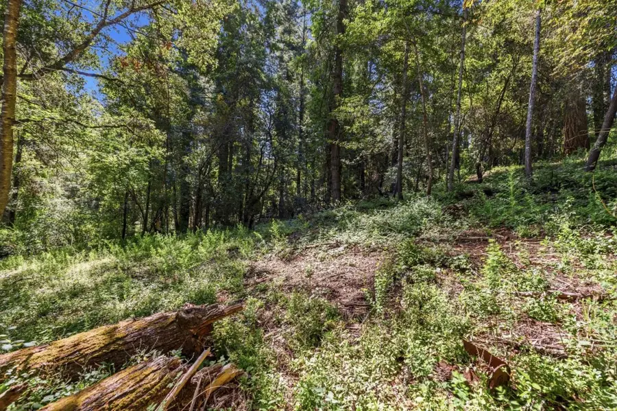 0 Garfield Way, Felton, CA 95018 - #3