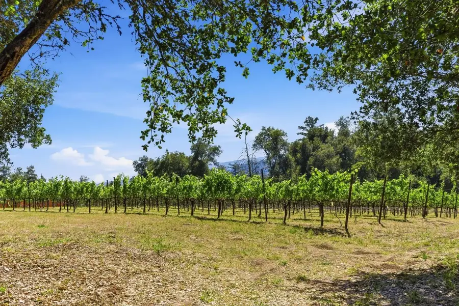 0 Miller Hill Road, Los Gatos, CA 95033 - #3