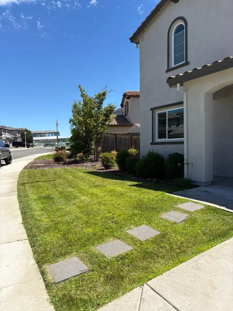 559 Lovejoy Lane, Lincoln, CA 95648 - #2