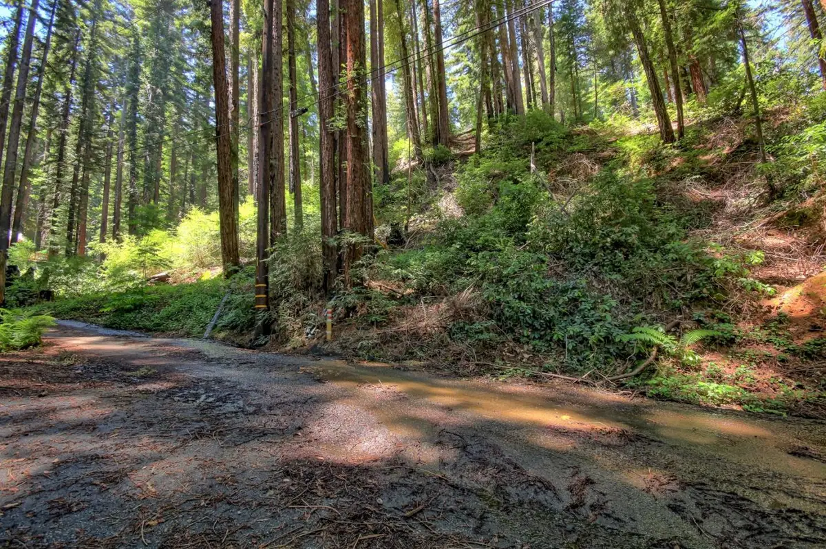 154 Leafwood Drive, Boulder Creek, CA 95006 - #1