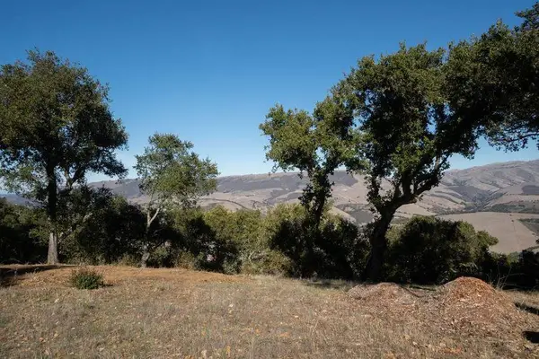 17114 Cachagua Road, Carmel Valley, CA 93924