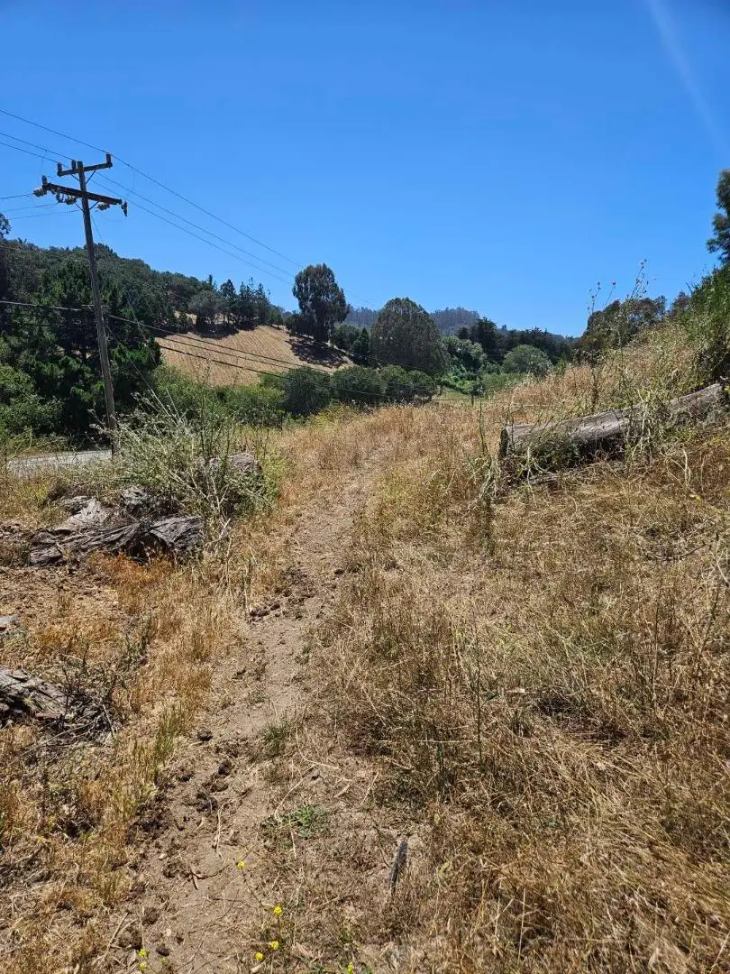 603 Carpenteria Road, Aromas, CA 95004 - #3