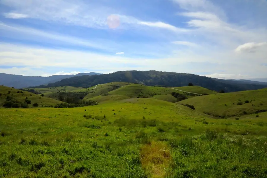 1 Pe On Peak Trail (lot 217), Carmel, CA 93923 - #2