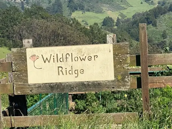 2851 Tunitas Creek Road, Half Moon Bay, CA 94019