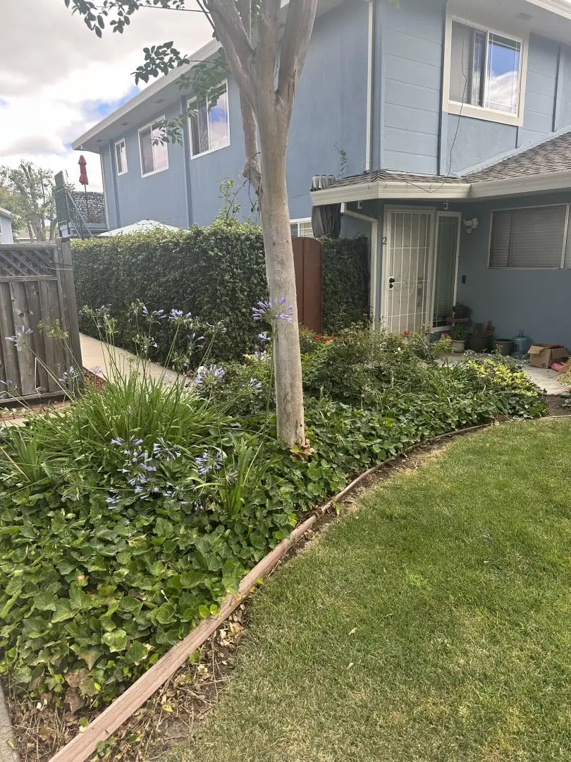 1263 Bouret Drive #2, San Jose, CA 95118 - #1