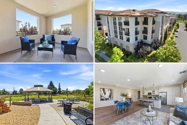 1057 Foxglove Place #203, San Jose, CA 95131