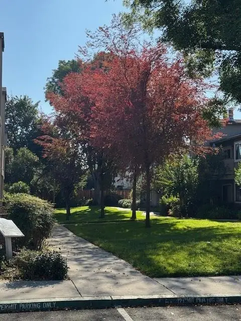 3449 Wine Cask Way, San Jose, CA 95124 - #1
