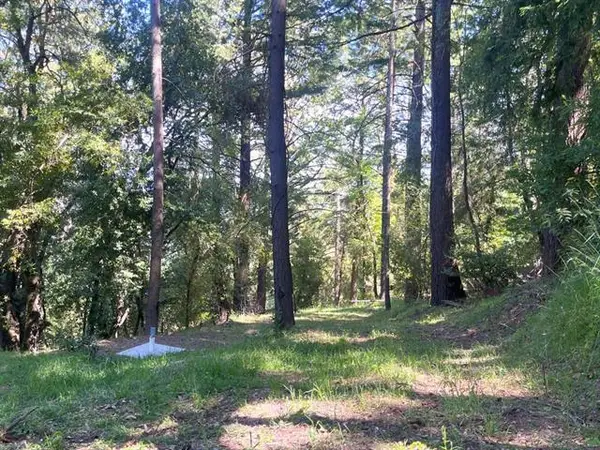 19179 Skyline Boulevard, Los Gatos, CA 95033