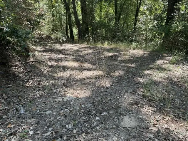 19179 Skyline Boulevard, Los Gatos, CA 95033 - #3
