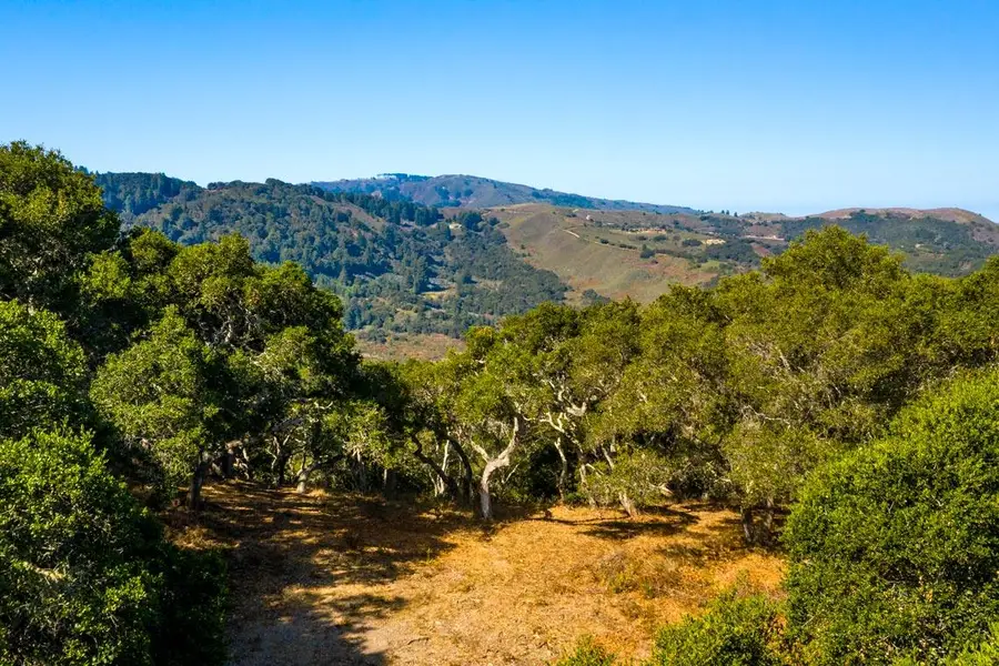 2 Corral Run, Carmel, CA 93923 - #2