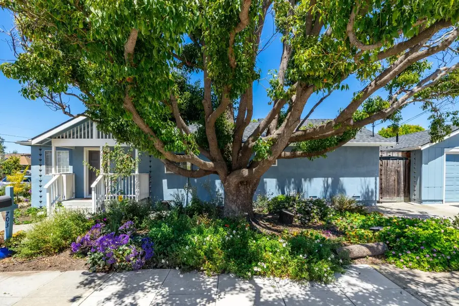 703 Seaside Street, Santa Cruz, CA 95060 - #3