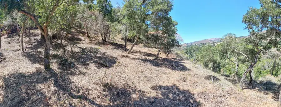 13 Rancho El Robledo, Carmel Valley, CA 93924 - #3