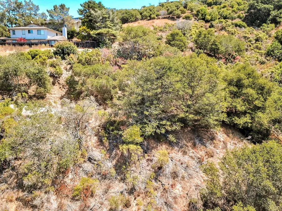 2928 Alhambra Drive, Belmont, CA 94002 - #3