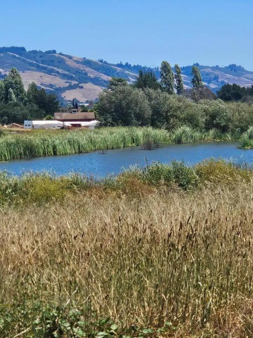 Address Withheld By Seller, Watsonville, CA 95076 - #1