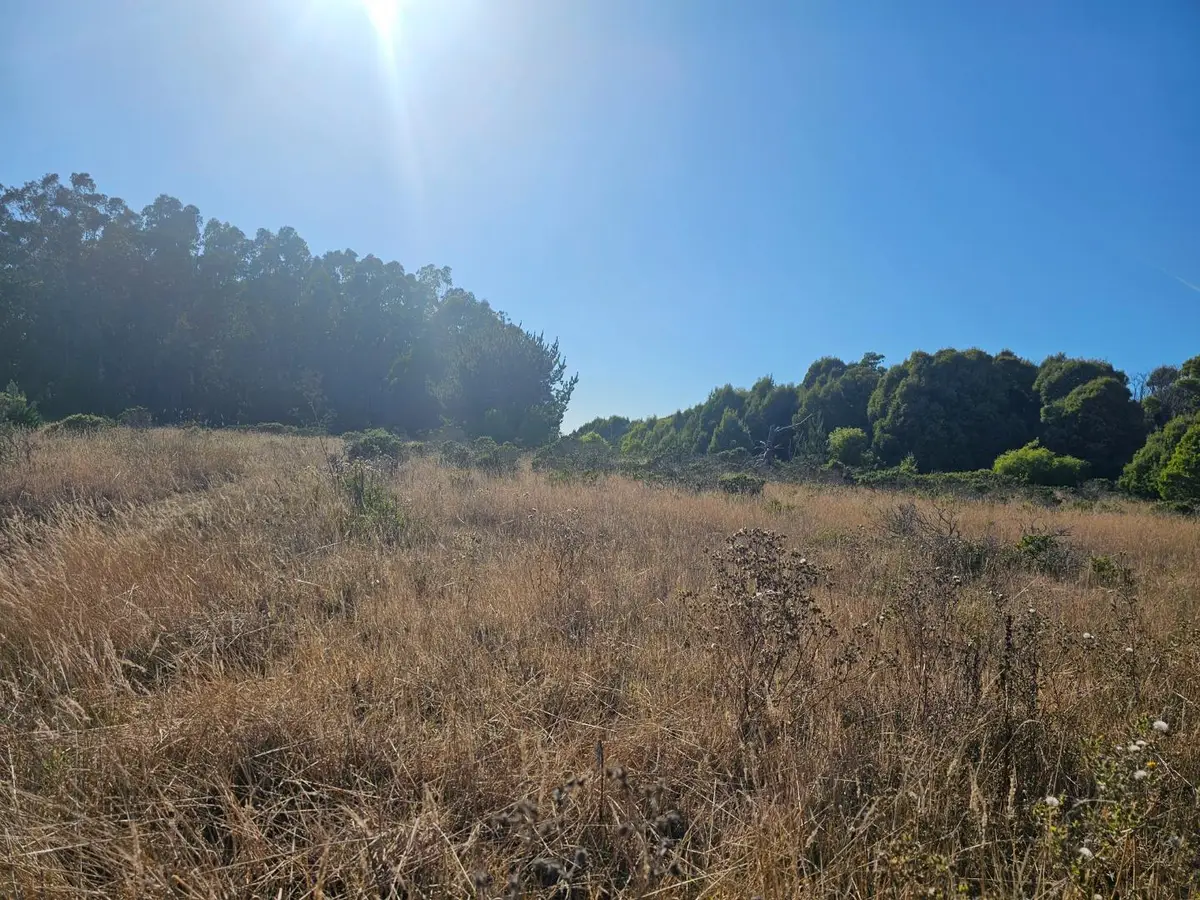Address Withheld By Seller, Half Moon Bay, CA 94019 - #1