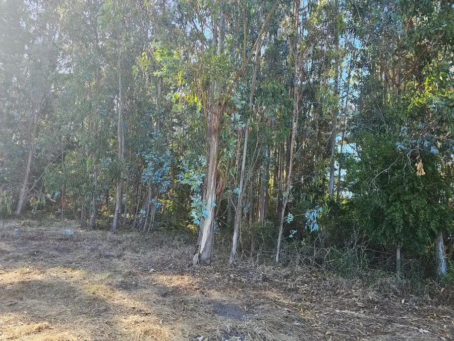 Address Withheld By Seller, Half Moon Bay, CA 94019 - #2
