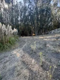 509 Carpenteria Road, Aromas, CA 95004