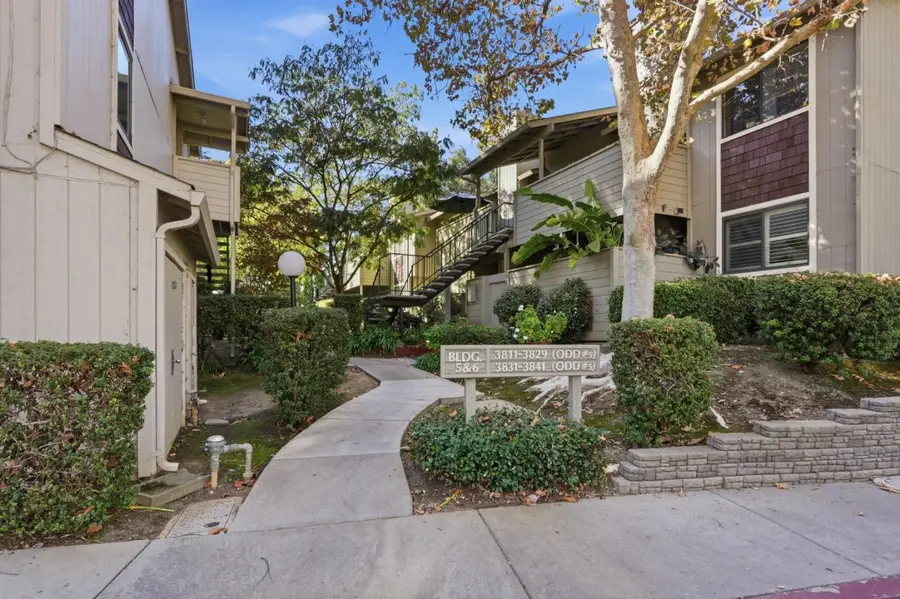 3833 Panda Drive, San Jose, CA 95117 - #2