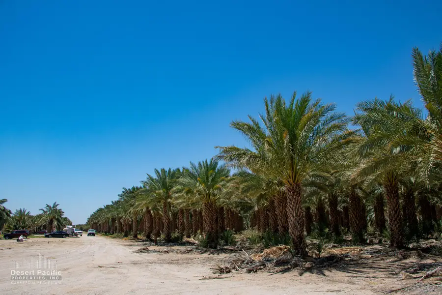 1095 Midland Rd, Blythe, CA 92225 - #3