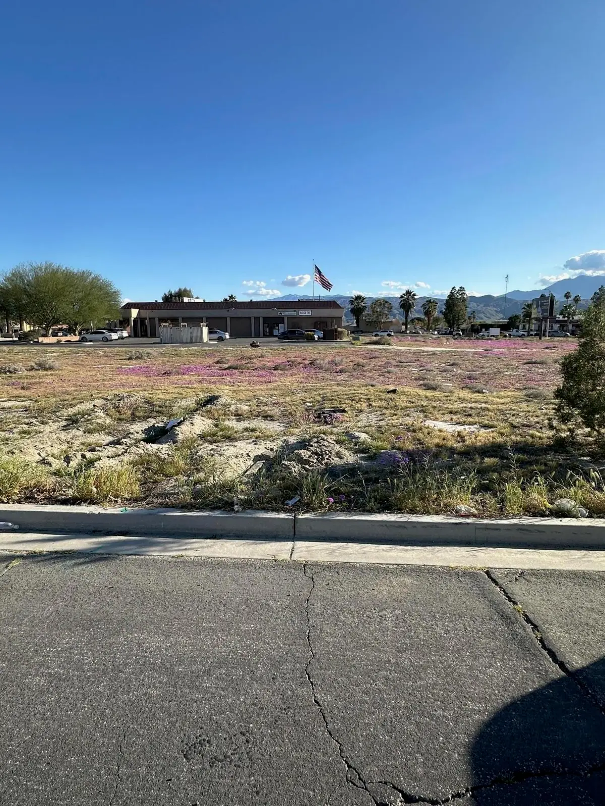 Lot 50 Aliso Road, Cathedral City, CA 92234 - #1