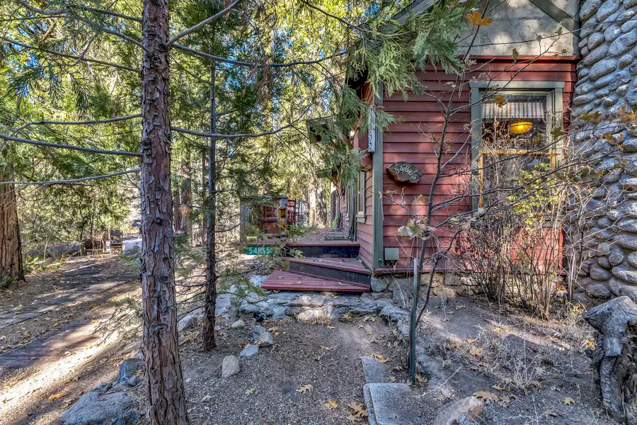 54865 Strong Dr, Idyllwild, CA 92549 - #3