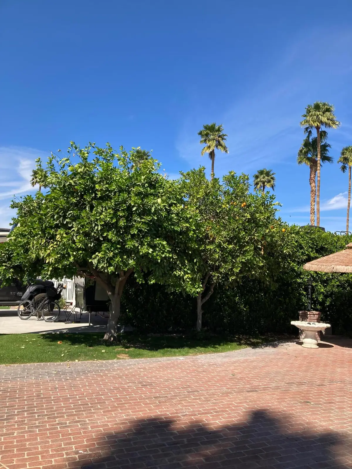 69411 Ramon Road #201, Cathedral City, CA 92234 - #1