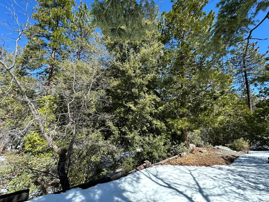 0 Big Rock, Idyllwild, CA 92549 - #2