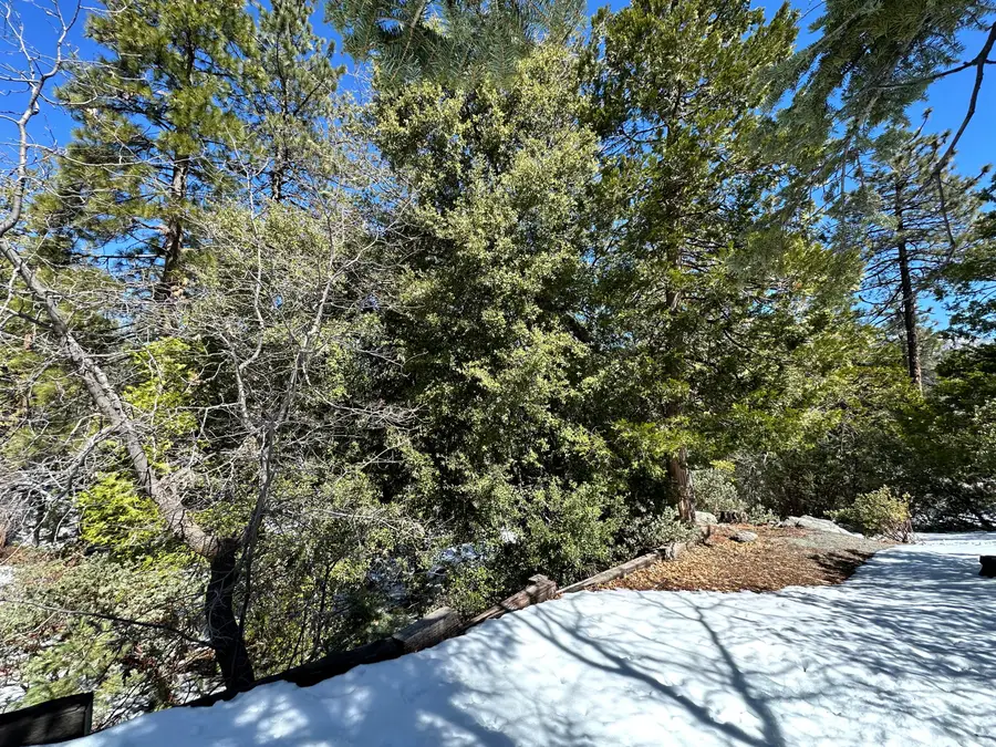 0 Big Rock, Idyllwild, CA 92549 - #3