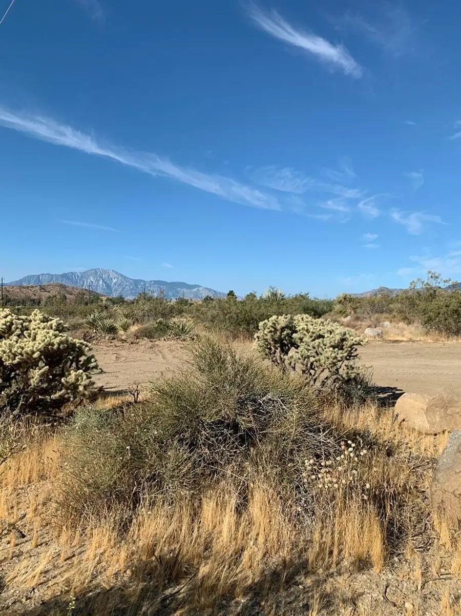 9792 Fobes Road, Morongo Valley, CA 92256 - #2